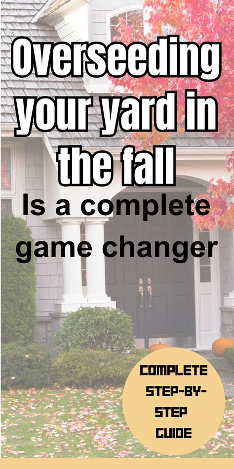 House surrounded by a yard dotted with autumn leaves, underscoring the fall practice of overseeding for a lush lawn. Grass Maintenance Lawn Care, Fall Lawn Care Tips, Fall Fertilizer For Lawn, How To Fix Lawn, Fall Lawn Care Schedule, Fall Yard Maintenance, Reseeding Lawn Fall, Fall Grass Maintenance, How To Seed Grass Lawn