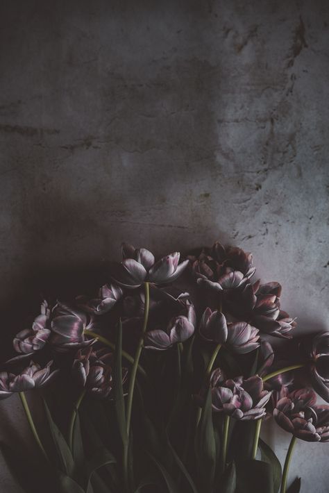 Samsung Wallpapers, Nature Iphone Wallpaper, Gothic Garden, Dark Flowers, Flower Backgrounds, Screen Wallpaper, Nature Wallpaper, Flower Wallpaper, Iphone Background