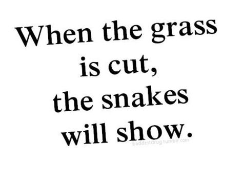 When the grass is cut, the snakes will show Snake In The Grass, Dope Quotes, Karma Quotes, A Snake, Real Life Quotes, Self Quotes, Deep Thought Quotes, The Grass, Quotable Quotes