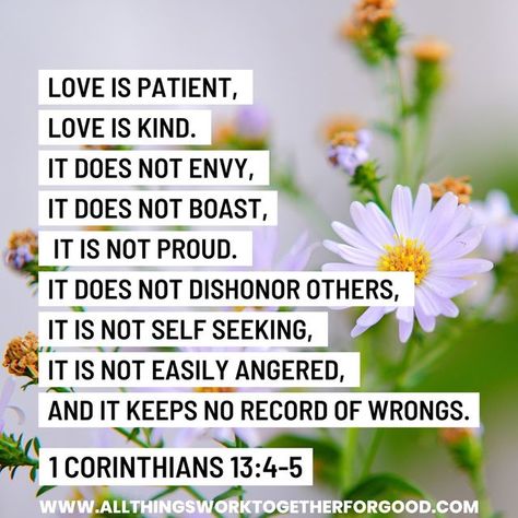 @allthingsworktogetherforgood on Instagram: "Happy Sunday! This is such a wonderful verse to remind us what love is! ⁠ ⁠ I'm posting both the NKJV and the Amplified version of this verse below because they both give a very good description of what love is:⁠ ⁠ 1 Corinthians 13:4-5 -Love suffers long and is kind; love does not envy; love does not parade itself, is not puffed up; does not behave rudely, does not seek its own, is not provoked, thinks no evil; -NKJV⁠ ⁠ 1 Corinthians 13:4-5 - Love en Love Does Not Envy, Walk In Love, Nikki Love, Bible Quotes Images, 1 Corinthians 13, No Evil, Love Is Patient, Bible Inspiration, What Is Love