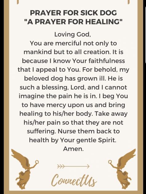 Prayers For Dogs Healing, Prayer For Sick Dog, Pet Quotes, Prayer For Health, Dog Poems, Healing Prayer, Personal Prayer, Everyday Prayers, Special Prayers