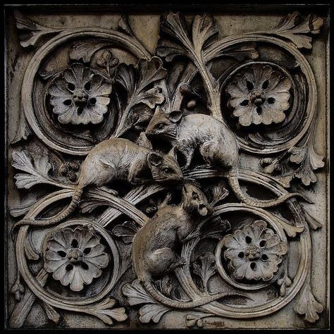 . Natural History Museum London, Relief Sculpture, Natural History Museum, Gothic Architecture, History Museum, Natural History, Architecture Details, Wood Carving, Rats