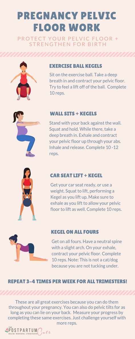 Pelvic Floor Exercises Pregnancy, Postpartum Pelvic Floor, Second Trimester Workouts, Pelvic Floor Strengthening, Kegel Exercise Pregnancy, Third Trimester Workout, Prenatal Diet, First Trimester Workout, Prenatal Fitness