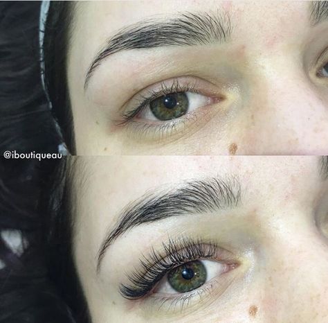 A natural length, light set of super fine volume lashes • #lashes #Iboutique Light Volume Lash Extensions, Volume Lash Extensions, Lash Tech, Eyebrow Shaping, Volume Lashes, Lash Lift, Lash Extensions, Business Marketing, Eyebrows