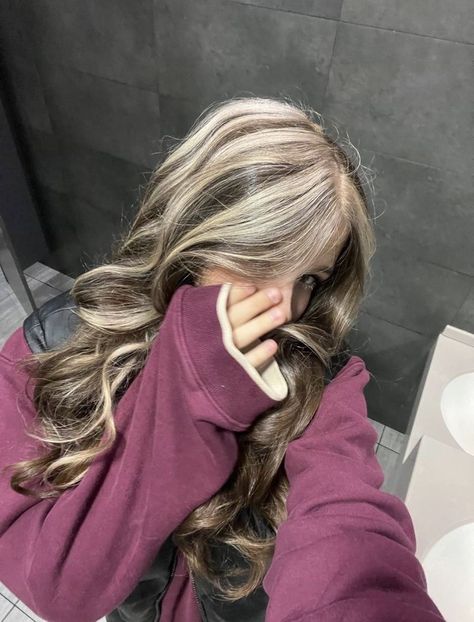 Chunky Highlights With Curtain Bangs, Skunk Hair, Blonde Highlights On Dark Hair, Blonde Highlight, Hair Color Underneath, Brown Hair Inspo, Hair Silky, Hair Color Streaks, Brunette Hair With Highlights