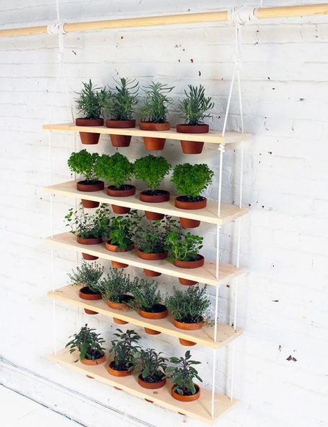 61+ Stunning Vertical Garden Ideas That Will Brighten Up Your Yard - FarmFoodFamily Hanging Herb Gardens, Pot Gantung, Hanging Herb Garden, Vertical Garden Indoor, Vertical Garden Design, Hanging Herbs, Vertical Vegetable Garden, Diy Herb Garden, Herb Garden Design