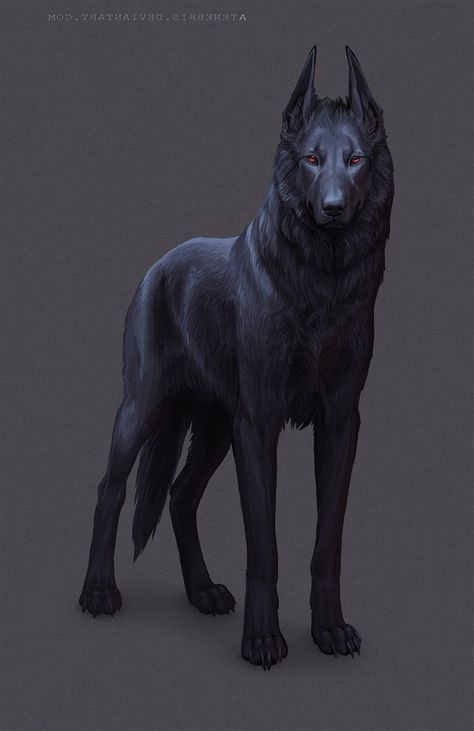 stranger Wounded Wolf Art, Art Observation, Lup Singuratic, Werewolf Drawing, Canine Drawing, Fantasy Wolf, Canine Art, Animale Rare, Anime Wolf