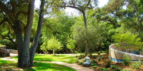 Live Oak County Park Weddings - Price out and compare wedding costs for wedding ceremony and reception venues in Fallbrook, CA Wedding Spot, Live Oak, Oak Park, Wedding Costs, Wedding Prices, Park Weddings, Reception Venues, Wedding Locations, Wedding Ceremony