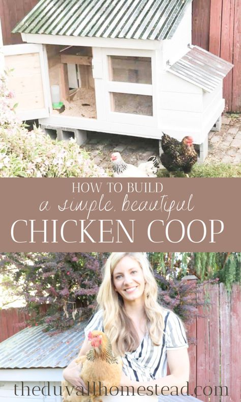 Bantam Chicken Coop Ideas, Diy Small Chicken Coop Ideas, Small Chicken Coop Diy, Simple Chicken Coop Diy, Small Chicken Coop Ideas, Beautiful Chicken Coop, Simple Chicken Coop Plans, Farm Dream, Small Farming