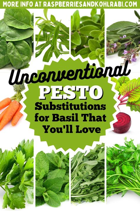 No Basil Pesto, Different Types Of Pesto Recipes, Herb Pesto Recipes, Celery Pesto, Hummus And, Parsley Pesto Recipe, Souse Recipe, Herb Pesto, Diy Seasonings