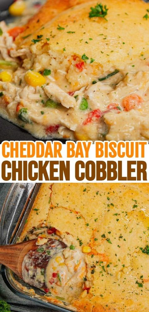 Chicken Cobbler is a hearty dish loaded with shredded rotisserie chicken and veggies all tossed in a mixture of cream of chicken and cream of mushroom soup and topped with Red Lobster Cheddar Bay biscuit mix. Chicken Potpie With Red Lobster Biscuits, Rotisserie Chicken Breakfast Recipes, Recipes With Cream Of Chicken Soup, Savory Cobbler, Shredded Rotisserie Chicken Recipes, Chicken And Cream Of Mushroom, Chicken Cobbler Casserole, Chicken Cobbler Recipe, Chicken Cobbler