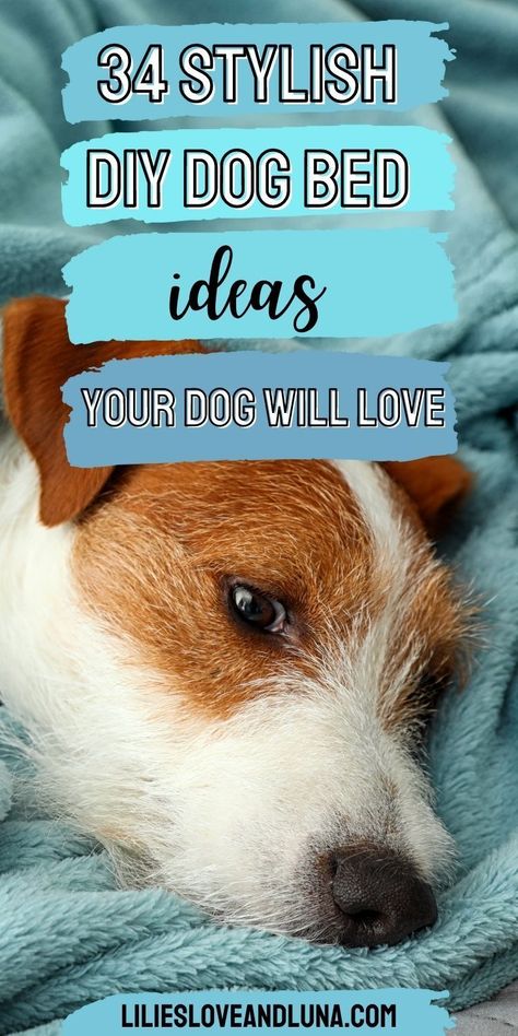 Fluffy Dog Bed Aesthetic, Diy Dog Bed Pillow Washable, Dog Beds Made From Toddler Bed, Dog Bed Ideas For Living Room, Dog Bed Ideas Diy, Homemade Dog Beds For Large Dogs, Dog Beds Diy, Diy Dog Bed Pillow, Creative Dog Bed