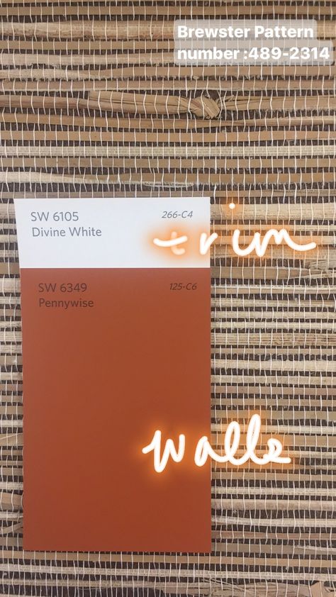 Sherwin Williams Pennywise, Divine White, New York Top, Sherwin Williams Colors, Reverse Tie Dye, Paint Color Palettes, Over The Moon, Husband Love, Color Of The Year