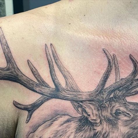 Elk Tattoo, Bozeman Montana, Elk, Instagram A, Tattoo Ideas, Tattoos, On Instagram, Instagram