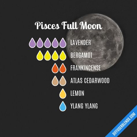 Witchy Oils, Essential Ouls, Full Moon Release, Magick Oil, Essential Oil Perfumes Recipes, Magic Potions, Essential Oil Combinations, Organic Perfume, Essential Oil Diffuser Blends Recipes