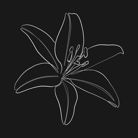 Lilly Line Tattoo, Tiger Lily Line Art, Stargazer Lily Fine Line Tattoo, Lily Flower Outline Tattoo, Lily Flower Fine Line Tattoo, Lily Flower Aesthetic Drawing, Tiger Lily Outline, Fire Lily Drawing, Lily Logo Design Ideas