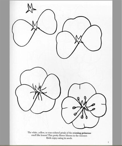 Hur Man Ritar Blommor, Draw Flowers, Flower Drawing Tutorials, Easy To Draw, Flower Doodles, Drawing Lessons, Drawing Tutorials, Flower Mandala, Art Tutorial