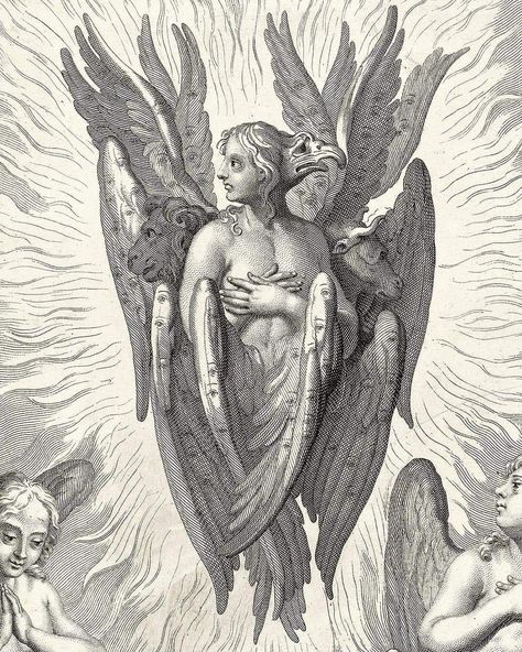 Three types of Cherubim (detail) - Frans van Bleyswyck, 1732. Angelology Aesthetic, Dominion Angel, Seraphim Aesthetic, Angel Lore, Angel Types, Scary Angel, Cherubim Angels Tattoo, Angel Seraphim, Biblical Angel