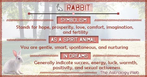 Rabbit Meaning and Symbolism | The Astrology Web Rabbit Symbolism Meaning, White Rabbit Spiritual Meaning, Spirit Animal Rabbit, Bunny Spirit Animal Meaning, Bunny Spirit Animal, Animal Omens Meaning, Rabbit Spirit Animal Meaning, Bunny Symbolism, Rabbit Meaning