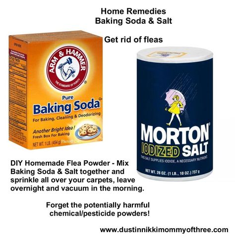 DIY Flea Powder for Your Home – Get Rid of Fleas w/o Using Chemicals & Pesticides – Baking Soda & Salt! Dog Flea Remedies, Flea Powder, Get Rid Of Fleas, Flea Remedies, Pet Remedies, Flea Spray, Dog Remedies, Pet Tips, Diy Tips