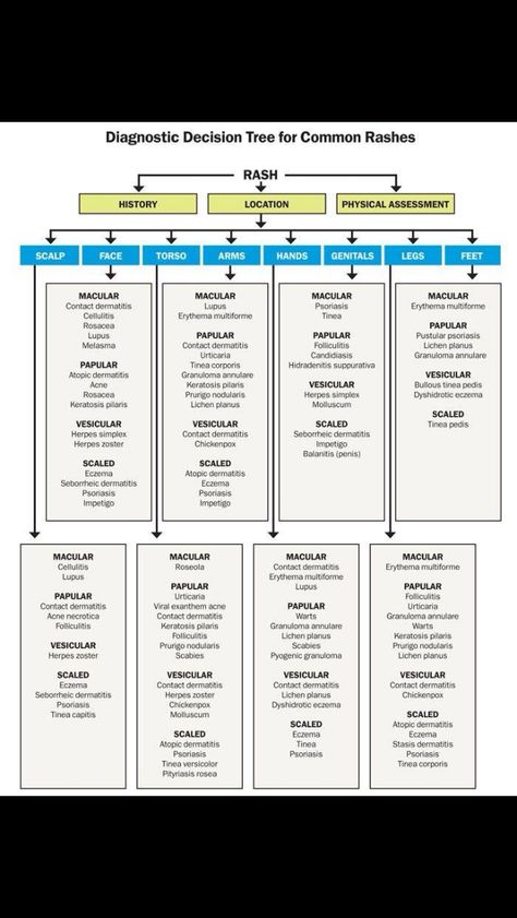 Flow chart for common rashes Dermatology Nurse, Nurse Practioner, General Medicine, Lab Image, Np School, Nurse Practitioner School, Remedial Massage, Integumentary System, Medical Transcription