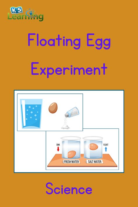 The floating egg science experiment is a classic and easy-to-do experiment that demonstrates the concept of density. #k5 #science #printables #free #worksheets #K5Learning Egg Science Experiment, Egg Science, Egg Experiment, Floating Eggs, Egg Experiments, Science Printables, Free Worksheets, Printables Free, Science Worksheets