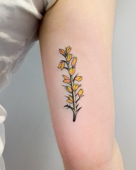 Gorse Flower Tattoo, Goldenrod Tattoo, Yellow Tattoos, Serious Tattoos, Grandad Tattoo, Crew Tattoo, Holly Tattoo, Yellow Tattoo, Tattoo Pieces