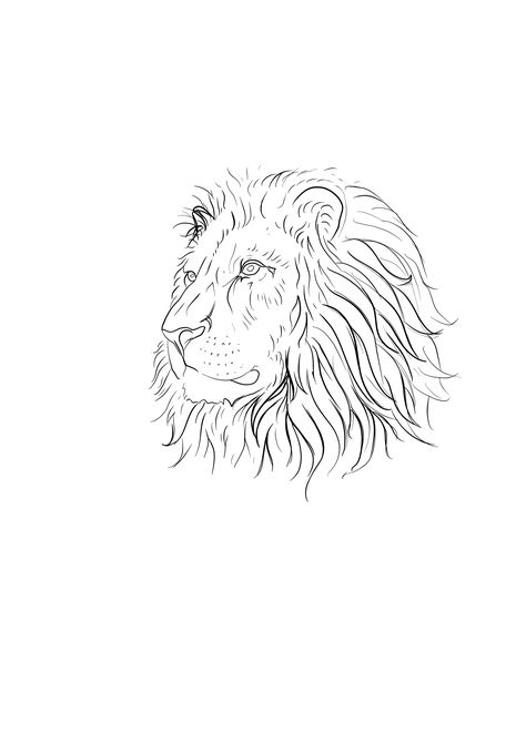 Aries Tattoo Animal, Lion Patchwork Tattoo, Lion Tattoo Patchwork, Lion Outline Tattoo, Tattoo Drawing Outline, Lion Tattoo Drawing, Lion Line Drawing, Lion Drawings, Leo Lion Tattoos