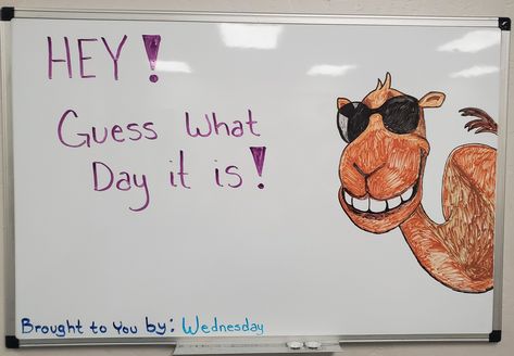 College White Board Ideas Funny, Whiteboard Polls College, Fun White Board Ideas, September White Board Ideas, White Board Art Drawings, Funny Whiteboard Drawings, Cute Whiteboard Ideas, Tech Doodles, Whiteboard Art Ideas