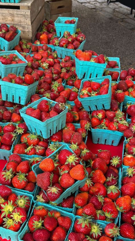 Farmers market strawberries berries fruit summer Farmers Market Berries, Farmers Market Strawberries, Farmers Market Wallpaper, Summer Market Aesthetic, California Farmers Market, Farmer Market Aesthetic, Summer Farmers Market Aesthetic, Fruit Market Aesthetic, Summer Fruit Aesthetic