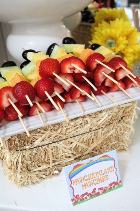 Rainbow Kabobs, Rainbow Skewers, Fruit Kebab, Wizard Of Oz Party Ideas, Wizard Of Oz Halloween, Wizard Oz, Wicked Party, Wizard Of Oz Birthday Party, Wizard Of Oz Theme