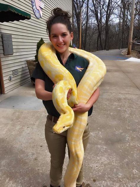 Albino Burmese Python, Nina Vibes, Python Aesthetic, Albino Python, Pet Aesthetic, Pet Snakes, Danger Noodles, Burmese Python, Cool Snakes