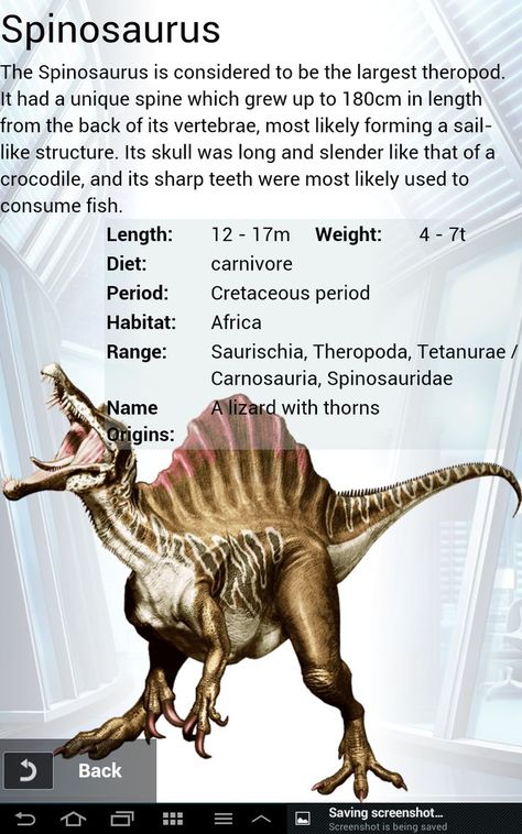 Spinosaurus learn everything about that iconic dinosaur Dino Facts, Dinosaur Information, Spinosaurus Aegyptiacus, Dinosaur Facts, Prehistoric Dinosaurs, Dinosaur Posters, Dinosaur Images, Jurassic World Dinosaurs, Ancient Animals