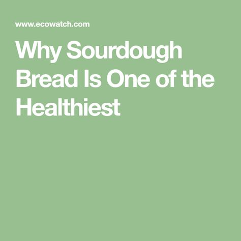 Why Sourdough Bread Is One of the Healthiest Sourdough Bread Healthy, Healthiest Bread, Bakers Yeast, Recipes With Yeast, Dough Starter, Probiotic Benefits, Wild Yeast, Sour Dough, Healthy Bread