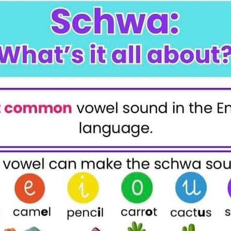 The Reading Mentor / Teacher / Tutor on Instagram: "🌟 Exploring the Schwa Sound! 🎶  Did you know that the humble “uh” sound, known as the schwa, is one of the most common vowel sounds in English? 📚  It’s that subtle, unstressed sound you hear in words like “bacon” or “camel.” 🛋️ The schwa is a lazy sound most often found in multisyllable words. Despite its understated nature, the schwa plays a crucial role in the rhythm and flow of our language!  💬 Let’s give a round of applause for the unsung hero of English pronunciation! 👏  Comment ‘Schwa’ for the pdf copy of this resource.    #SchwaSound #FunWithPhonetics #readingisfun #phonicsisfun #literacycoaching #literacyinstruction #earlyyearsliteracy #scienceofreading #thereadingmentor #structuredliteracy #phonics #phonologicalawareness #e Words With Th Sound, Schwa Sound, Schwa Sound Anchor Chart, Ed Sounds Anchor Chart, Th Voiced And Unvoiced, Sounds Of Ed Anchor Chart, Vowel Sound, Spelling Rules, Literacy Coaching