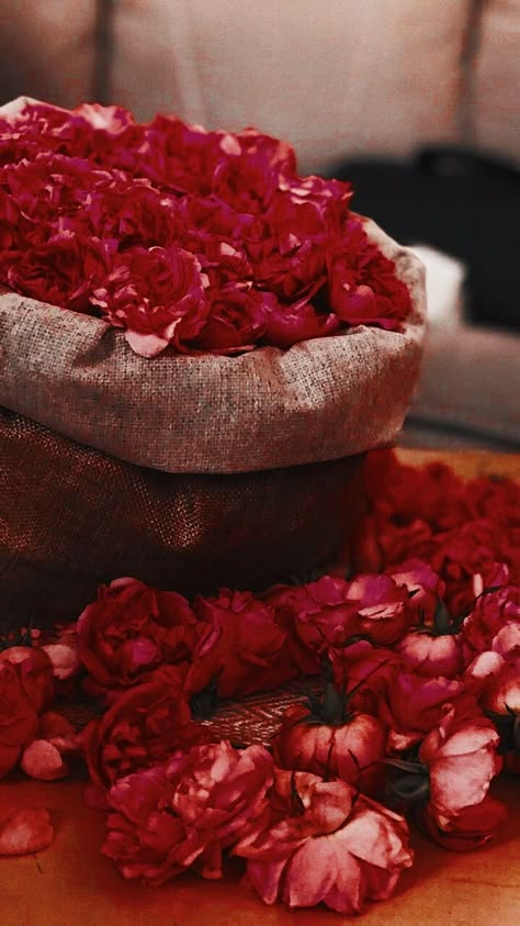 Indian Red Aesthetic, Royal Indian Wedding Aesthetic, Desi Red Aesthetic, Indian Bridal Aesthetic, Red Desi Aesthetic, Red Indian Aesthetic, Royal Indian Aesthetic, Indian Wedding Aesthetic, Royal Indian Wedding