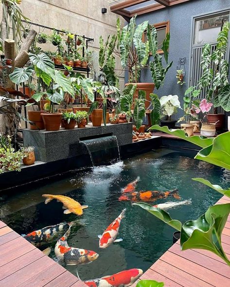 Koi Pond Design, Kolam Koi, Fish Pond Gardens, Taman Air, Yard Area, Garden Pond Design, Diy Pond, نباتات منزلية, Carpe Koi