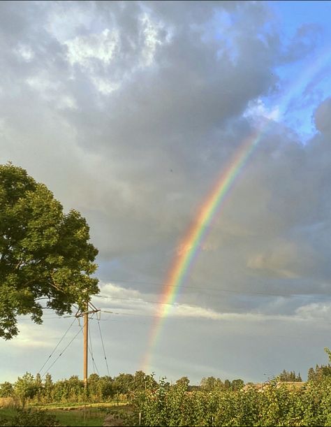 #wallpaper #aesthetic #rainbow Spring Rainbow Aesthetic, March Lockscreen, March Moodboard, Aesthetic Rainbow, Science Words, Door Decs, Halloween Music, Sky Photography Nature, Tea Company