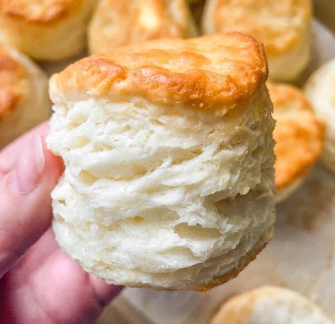 White Lily Biscuits, Best Biscuit Recipe, Homemade Biscuits Recipe, Easy Biscuit Recipe, Instagram Pro, Biscuit Bread, Biscuit Rolls, Biscuits Easy, Homemade Biscuits