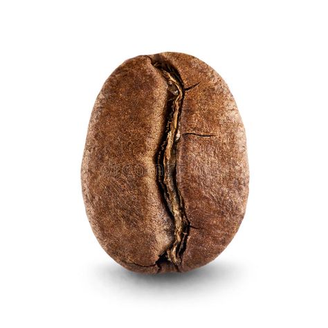 Coffee bean. On white background , #AFF, #bean, #Coffee, #background, #white #ad Coffee Texture, Coffee Bean Logo, Cafe Logos, Soup Pumpkin, Beans Image, Coffee Seed, Pumpkin Bowl, Coffee Background, Coffee Poster Design