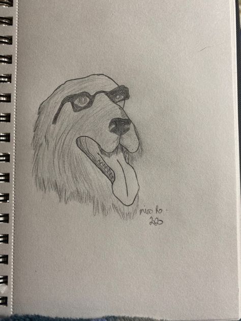 Dog i drew. Longhaired dog drawing with glasses, and tongue out. Not too realistic. Drawing With Glasses, Doggo Drawing, Dog Drawing, Dogs, Drawings