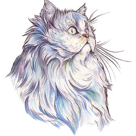 Persian Cat Drawing Sketch, Fluffy Cat Tattoo, Persian Cat Illustration, Persian Cat Painting, Persian Cat Tattoo, Persian Cat Drawing, Persian Cat Art, Himalayan Persian Cats, Cat Face Drawing