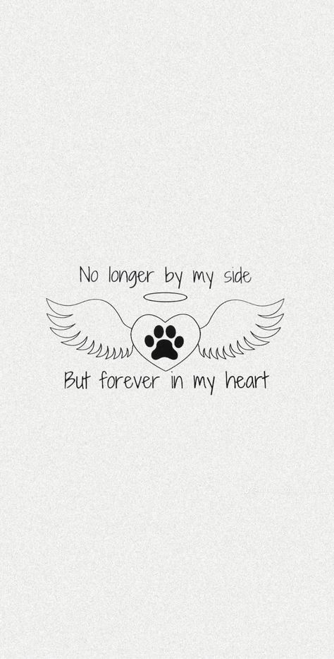 Lost Pet Quotes Dogs, Quotes About Losing A Pet, Losing A Cat Quote, Pet Quotes Dog, Heaven Wallpaper, Miss My Dog, Mom In Heaven, Lost Quotes, Cat Loss