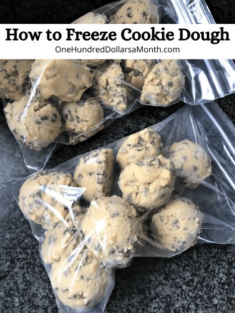 Time Saving Tips - How to Freeze Cookie Dough - One Hundred Dollars a Month Freeze Oatmeal, Freeze Cookie Dough, Swig Sugar Cookies, Bakery Chocolate Chip Cookies, Frozen Cookie Dough, Fresh Baked Cookies, Oatmeal Chocolate Chip, Frozen Cookies, Cookie Dough Recipes