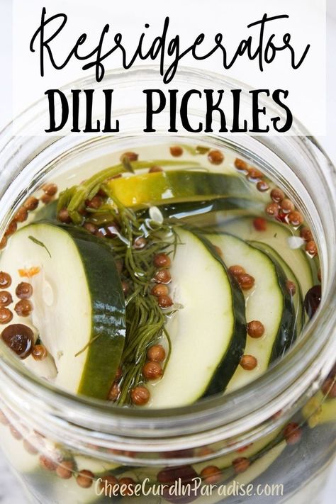 sliced with pickles with pickling seasoning and dill in a mason glass jar Homesteading Kitchen, Fridge Pickles, Homemade Dill Pickles, Pickles Homemade, Garden Cucumbers, Refrigerator Dill Pickles, Refrigerator Pickles Dill, Homemade Pickles Dill, Cheese Curd