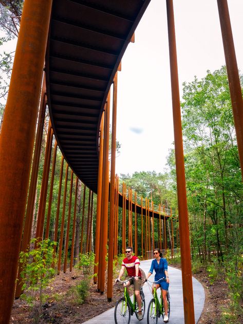 Raised circular cycling path gives 360-degree views of Belgian forest Copenhagen Design, Weathering Steel, Bike Path, Sky Garden, Pedestrian Bridge, Green Roof, Contemporary Landscape, Landscape Architect, Architecture Project