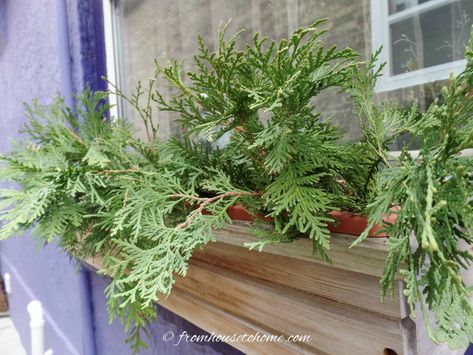 Wood Window Boxes, Cedar Window Boxes, Wooden Flower Boxes, Winter Window Boxes, Large Pine Cones, Window Boxes Diy, Winter Arrangements, Box Flowers, Winter Planter