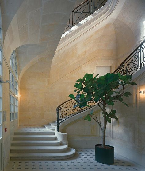 A neoclassical stairway at fashion brand Céline’s first Parisian maison on rue Vivienne. Exterior Stairs, Stairs Architecture, Stair Case, Casas Coloniales, Staircase Design, Stairs Design, Neoclassical, My New Room, Future House