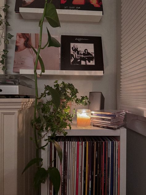 Record Asethic, Guitar Bedroom Aesthetic, Butterfly Organization, Manchester Flat, Girl Hobbies, Vision Manifestation, 2023 Apartment, Girly House, Aesthetic Bookshelves