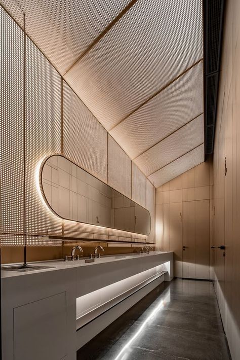 Luxurious Public Bathrooms, Hotel Toilet Design, Commercial Bathrooms, Public Restroom Design, Restroom Architecture, Commercial Bathroom Designs, Lavatory Design, Commercial Bathroom, Commercial Toilet